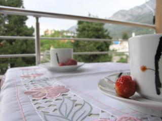 Musa apartment - Gradac - 8