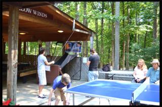 Asheville Cabins of Willow Winds - Asheville - 6