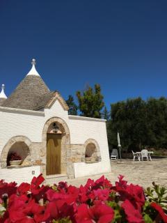 Agriturismo Zizzi - Ceglie Messapica - 3
