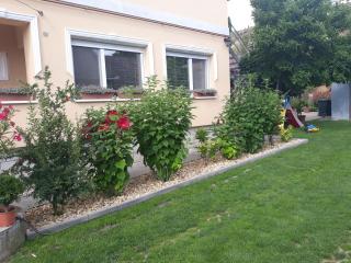 Rita Apartman - 8