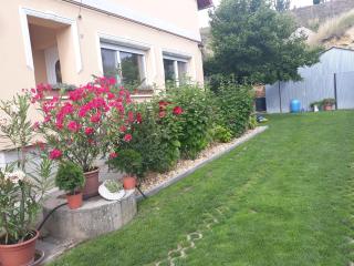 Rita Apartman - Bogács - 6