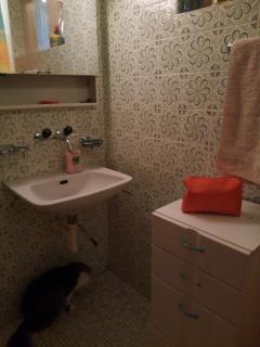Gastzimmer für Übernachtung Гостевая комната - Oberbipp - 3