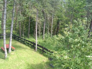 Plitvice Lakes Holiday Lodge - Rudanovac - 1