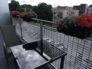 Ąžuolo apartamentai - Birštonas - 4