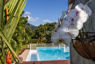 Habitation Cantamerle - Capesterre-Belle-Eau - 9