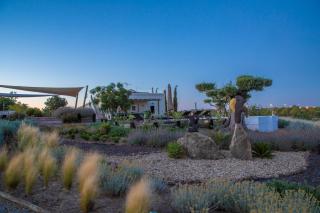 Espargosa Monte de Baixo & Art - 7