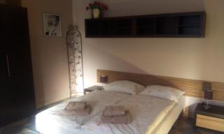 Góry Sowie - Apartament na parterze z parkingiem - Pieszyce - 3