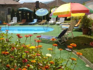 Guest House Camellia - 1