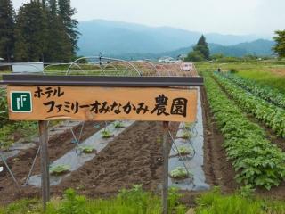 Hotel Familio Minakami - Minakami - 4