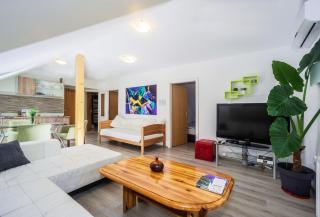 Apartments Osijek by the River - 1