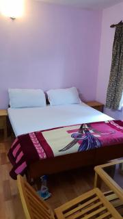 Cottage Mini For Backpackers & Small Family - Manāli - 0
