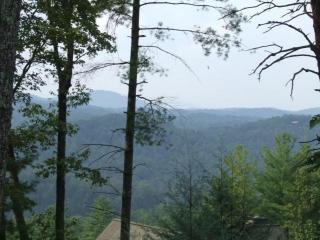 Crockett Trails - Cherry Log - 3