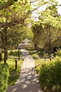 Fort Marcy Suites by All Seasons Resort Lodging - Santa Fe - 7