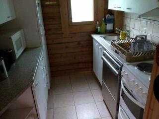 Hirsimökki Tuurin kyläkaupan lähellä - 2