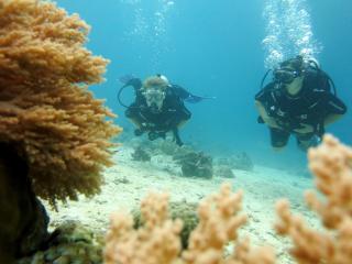 Prisida Guest House - Pemuteran - 1