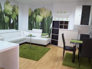 DELUX duplex apartment - Maribor - 9