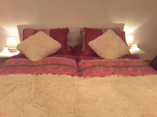 DELUX duplex apartment - Maribor - 1
