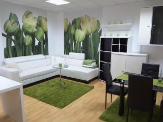 DELUX duplex apartment - Maribor - 0
