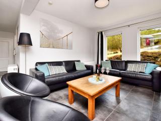 Charming Holiday Home in Durbuy with Sauna - Barvaux-sur-Ourthe - 1