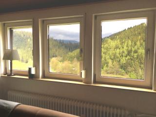 Haus Innerste für Naturliebhaber - Wildemann - 1