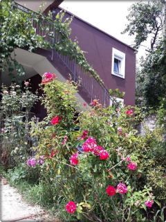 Apartmani Labovic - Budua - 3