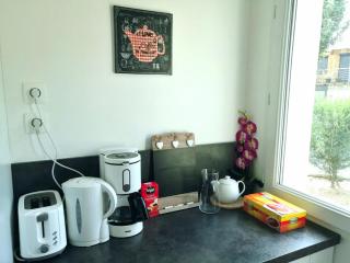 Grand appartement proche CHU - 3