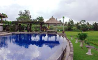 Bumi Ubud Resort - Ubud - 7