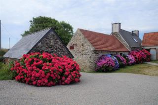 La ferme de Lec'h Hameury - Plestin-les-Grèves - 8