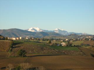 Il Pozzo di Vivalpa - Serra deʼ Conti - 9