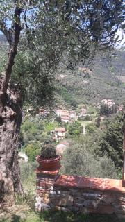 Il colle di Abramo casa vacanze Enrica - 5