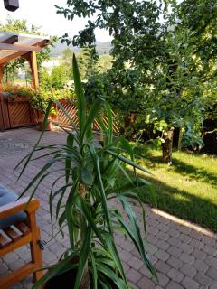 Ferienwohnung am Rain - Winden im Elztal - 7