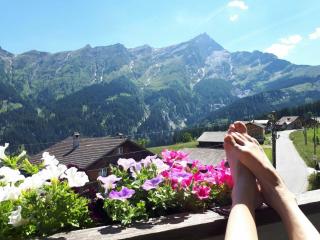 Gasthaus Alpina - Tschappina - 5
