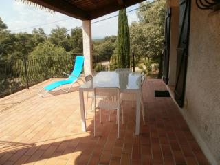 Lorgues, La Tourelle, immense piscine, plongeoir, vue, au grand calme - Lorgues - 1