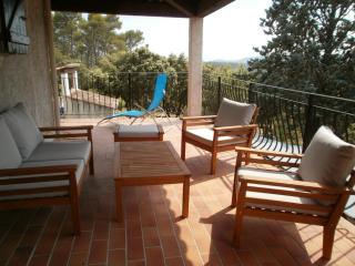 Lorgues, La Tourelle, immense piscine, plongeoir, vue, au grand calme - Lorgues - 4