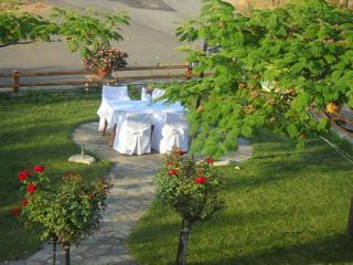 Hotel Kapsalis - Veria - 2