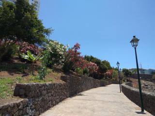 Studio Playa Paraiso Tenerife - ocean view and internet wifi optical fiber - for rent - Playa Paraiso - 5