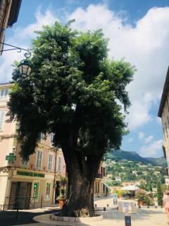 Boutique Hôtel La Victoire - Vence centre - Vence - 1