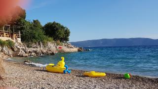 apartmani Vesna - Pinezici - 5
