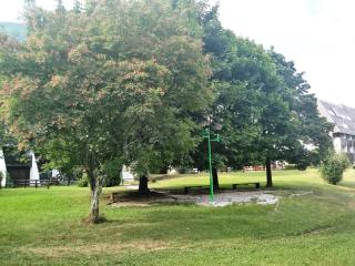 Beti Blu, Kaninska vas - 1