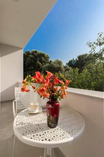 Villa Milena - Brodarica - 9