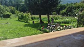 Galesic Apartments & Rooms - Korenica - 9