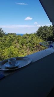 Apartmani Vila Ebra - Utjeha - 9