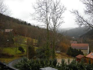 Auberge De La Grange spa & sauna - Plainfaing - 6