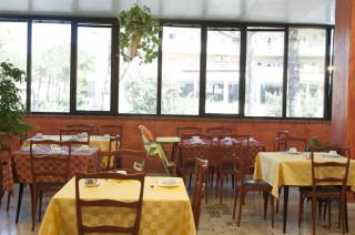Hotel Edelweiss - Cervia - 9