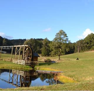 Ahaura Lodge & Waterwheel Farm Stay - Totara Flat - 2