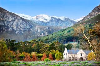 Lavender Farm Boutique Guest House - 0
