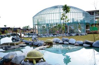 Ciwidey Valley Resort Hot Spring Waterpark - Bandung - 3