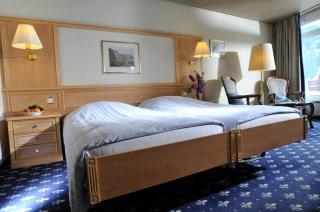 Hotel Kreuz & Post Grindelwald - Grindelwald - 8
