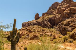 Desert Foothills - Phoenix - 8