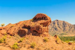 Desert Foothills - Phoenix - 7